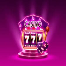 556bet