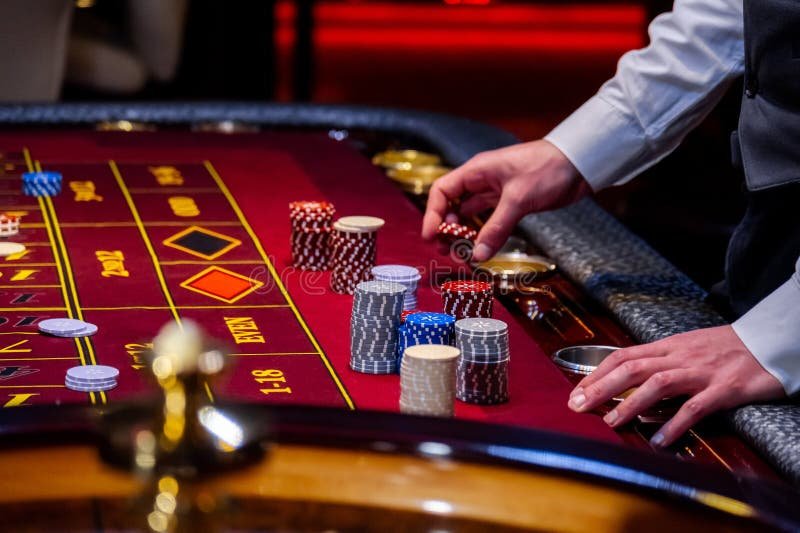 556bet
