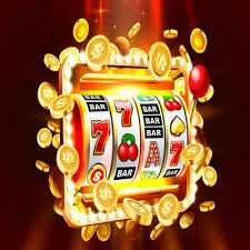 556bet
