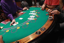 556bet