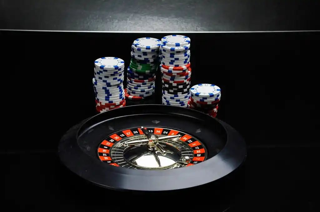556bet