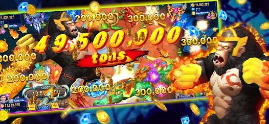556bet